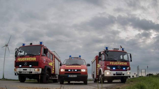 Baum droht auf Straße zu stürzen