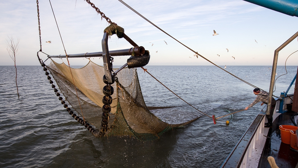 Das geplante Verbot der Fischerei mit Grundschleppnetzen in Meeresschutzgebieten zieht auch Auswirkungen für den Tourismus nnach sich, befürchtet der Wittmunder Landrat Holger Heymann. © Wagner/dpa (Archivbild)