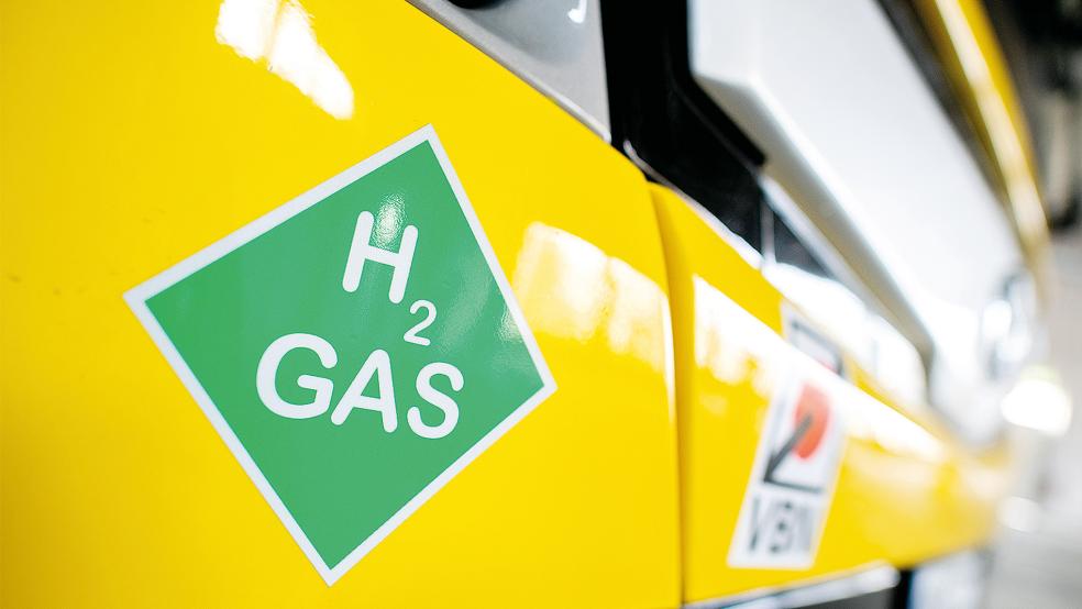 Ein grüner Aufkleber mit der Aufschrift »H2 Gas« prangt an einem neuen Wasserstoffbus der Verkehr und Wasser GmbH (VWG) in Oldenburg. Hier sollen vier neue Busse auf den Linien im Stadtgebiet zum Einsatz kommen, der Testbetrieb dafür begann am 9. Februar. Im Landkreis Leer gibt es nun ähnliche Bestrebungen.  © Foto: Dittrich/dpa