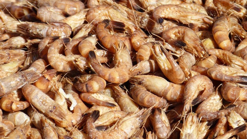 Die Schleppnetze der Krabbenfischer würden kaum den Boden berühren und nur minimale Spuren im Meeresboden hinterlassen, so die Schutzgemeinschaft Deutsche Nordseeküste (SDN). © Pixabay (Symbolfoto)