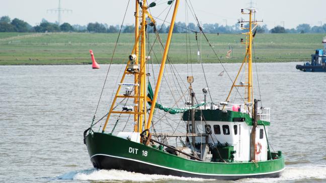 Fischer in Not: Brandbrief an Brüssel