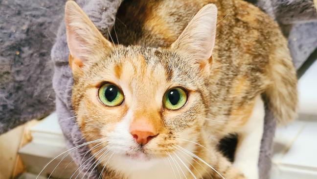 »Sue« braucht etwas Geduld