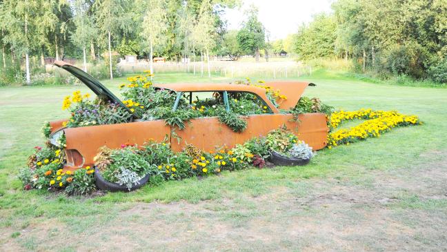 Wieder Blumenschau in Papenburg?