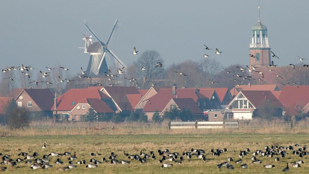 Mit dem Nabu kann am Wochenende ein besonderes Vogelparadies erkundet werden. Diese und weitere Freizeitangebote gibt es in der großen RZ-Übersicht. © Nabu RZ-Archiv
