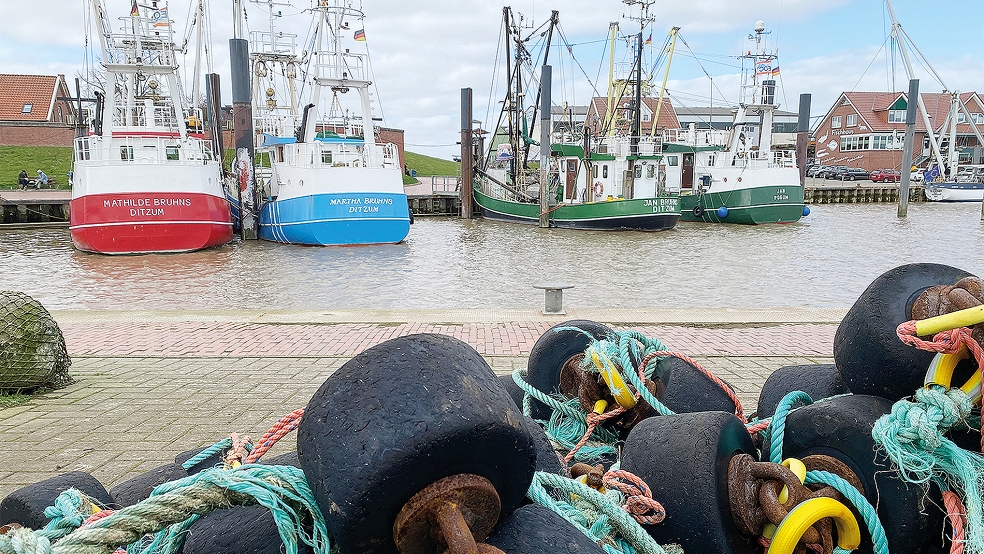Ein Teil der Ditzumer Kutterflotte im Hafen des Fischerdorfs. Die Besatzungen und ihre Familien blicken sorgenvoll in die Zukunft,  © Fotos: Hanken