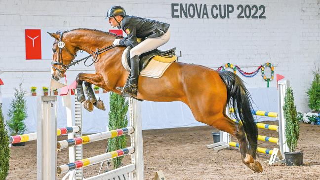 Reithalle ist bereit für den 20. Enova-Cup
