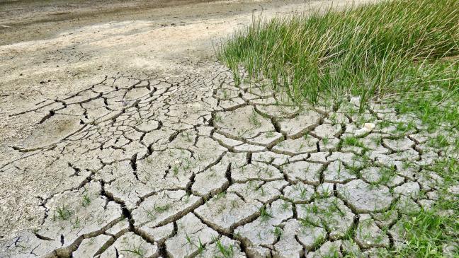 »Der Klimawandel wartet nicht«