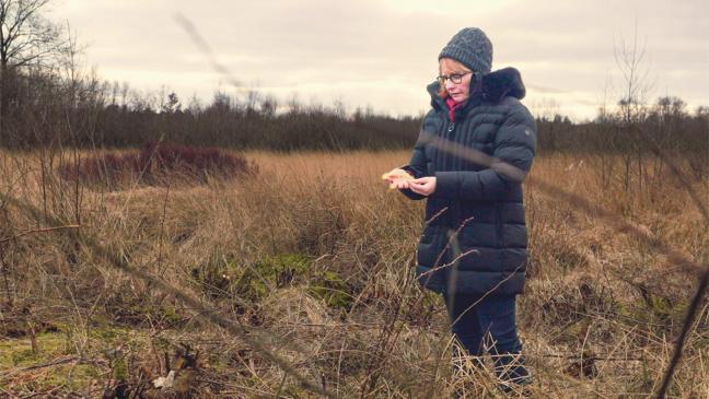 »Torfmoos For Future«