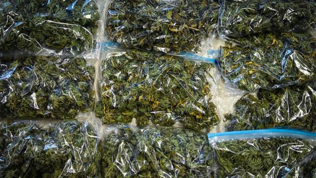 Mehr Drogenfunde im Rheiderland