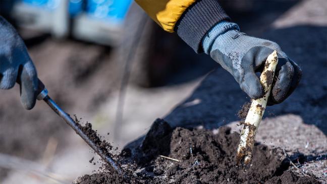 Erntehelfer brauchen den vollen Schutz