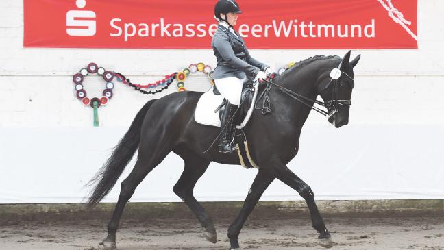 Spannende Titelkämpfe werden erwartet