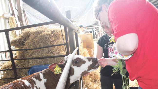 Das Leben auf dem Land greifbar machen