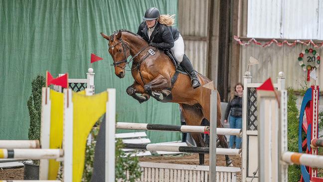 Rheiderländer belegt zweiten Platz im Springen