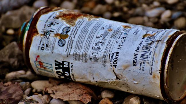 Unbekannte legen Feuer im Wald