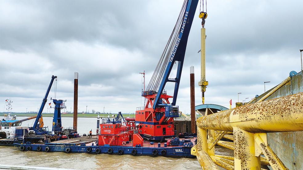 . © Foto: Alexander Wilhelm/NLWKN