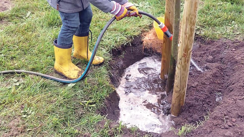 Kleine und große Helfer sorgten dafür, dass an verschiedenen Standorten in Bunderhee nun Linden, Eichen, ein Walnussbaum und eine Esskastanie wachsen.  © Foto: Baumläufer Bunde