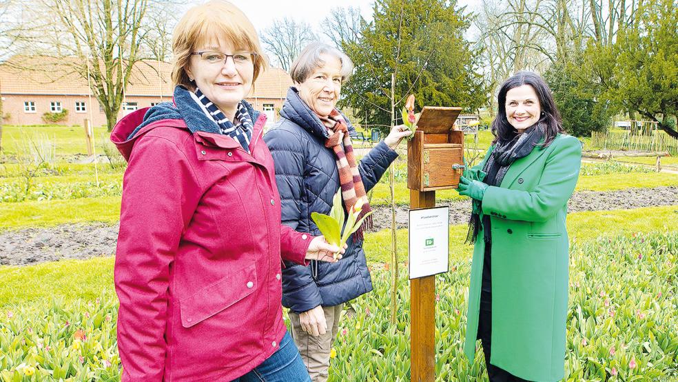 Im Evenburg-Park können Besucher in den kommenden Wochen wieder Tulpen gegen eine Spende schneiden. Schirmherrin des Projekts ist Gitta Connemann (rechts).  © Foto: privat