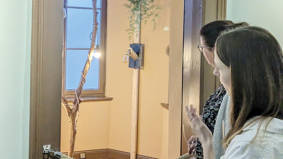 In sechs Räumen werden die Kunstwerke ausgestellt .  © Foto: privat