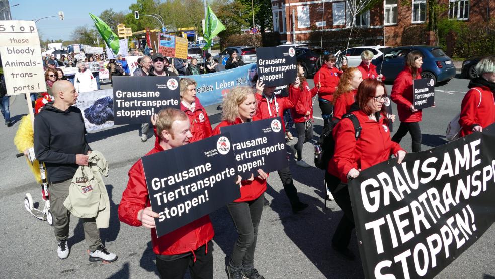Die Demonstranten auf ihrem Weg durch Aurich. © Jürgens