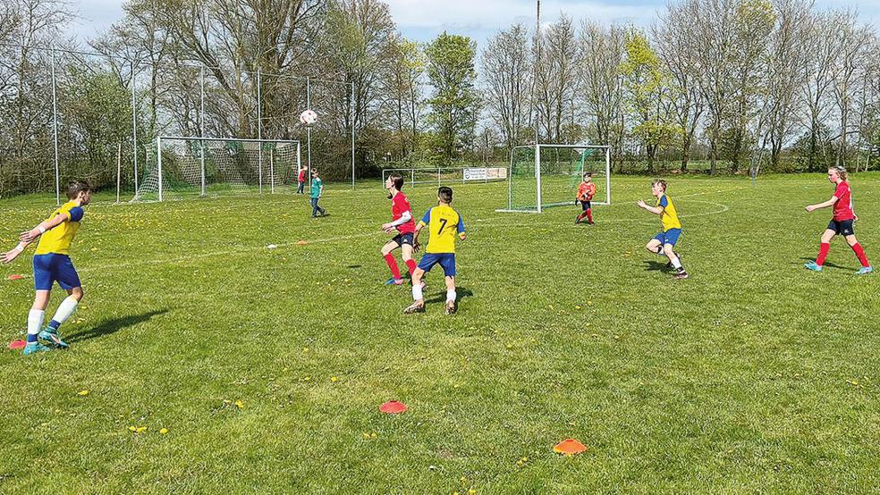 Die von Markus Smidt trainierte Weeneraner D-Jugend (gelbe Trikots) holte beim 14:0 in Oldersum bei der JSG Moormerland ihren bislang höchsten Saisonsieg.  © Foto: privat