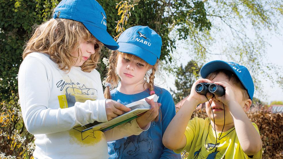 Bei der »Stunde der Gartenvögel« notieren die Teilnehmer die höchste Anzahl von jeder Vogelart, die im Laufe einer Stunde gleichzeitig beobachtet werden konnte.  © Foto: Naturschutzbund