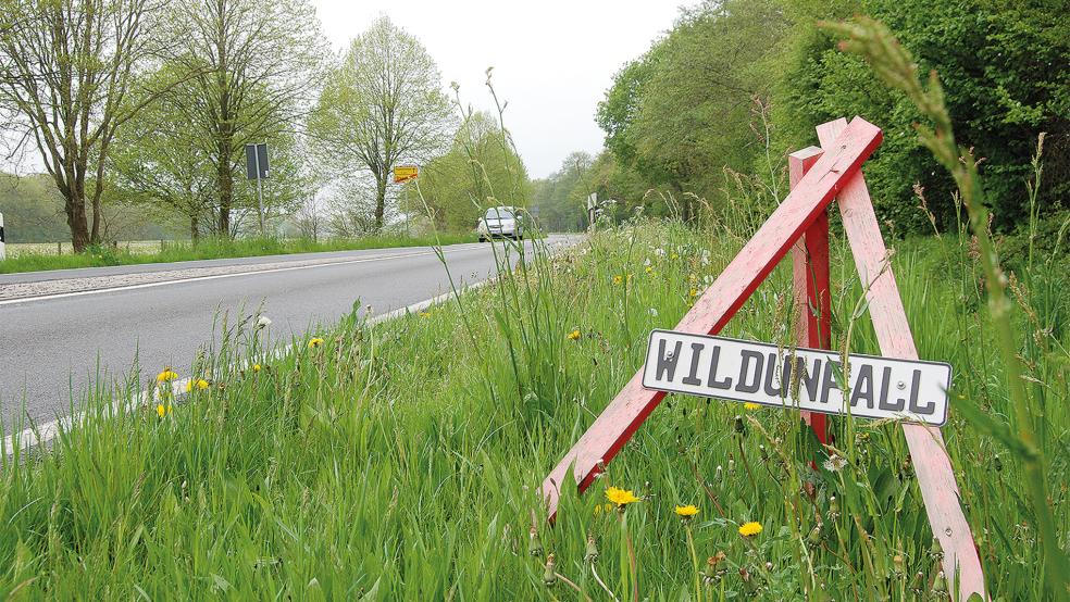 Wo Wildunfälle passiert sind, wie hier am Kreisel in Stapelmoor, stehen in einigen Fällen diese Dreibeine zur Warnung.  © Foto: Hoegen