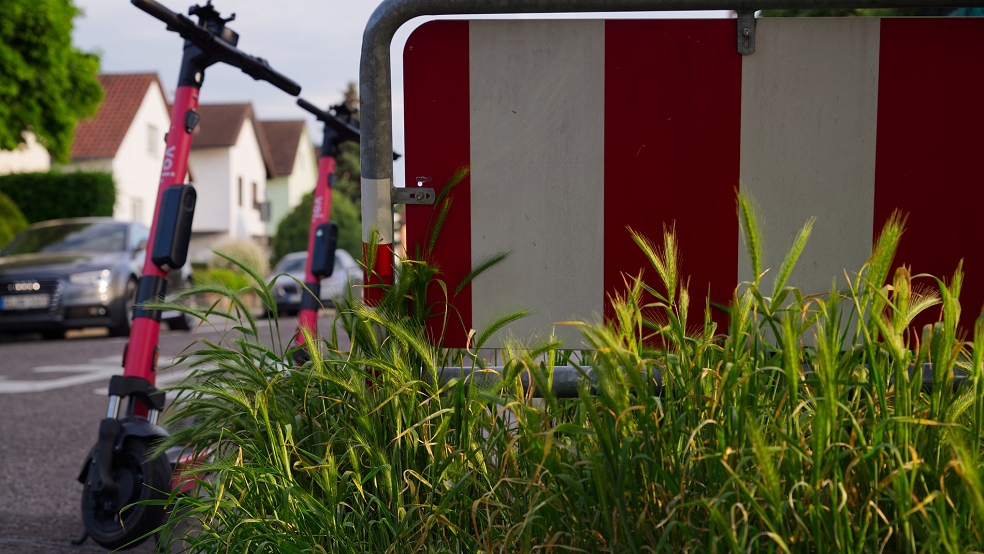 Die 23-Jährige, die bei einem Unfall in Steenfelde verletzt wurde, war mit einem E-Scooter unterwegs (Symbolfoto).  © Foto: Pixabay