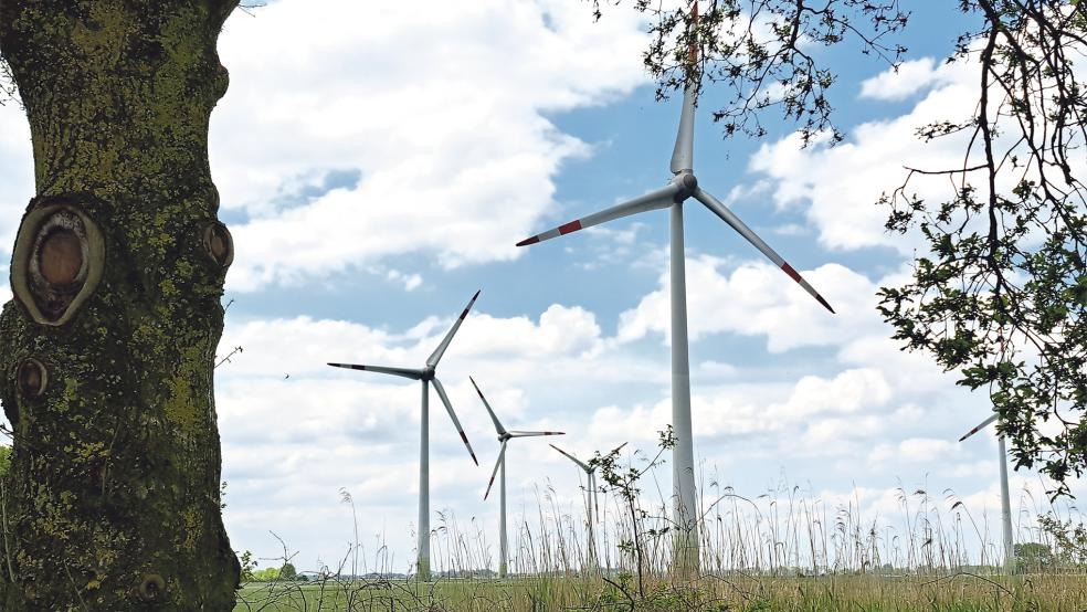 Im Windpark Holtgaste - hier der Blick vom benachbarten Badesee - sollen keine Photovoltaik-Module aufgestellt werden. Vorgesehen sind südlich und nördlich davon zwei Teilbereiche mit einem gemeinsamen Netzanschluss.  © Fotos: Szyska