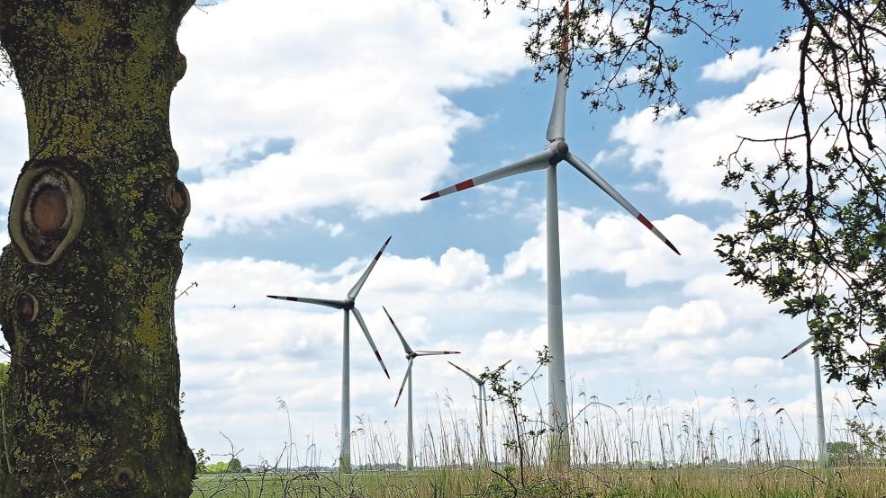 Im Windpark Holtgaste - hier der Blick vom benachbarten Badesee - sollen keine Photovoltaik-Module aufgestellt werden. Vorgesehen sind südlich und nördlich davon zwei Teilbereiche mit einem gemeinsamen Netzanschluss.  © Fotos: Szyska