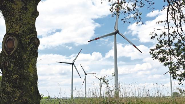 Boden bereitet für Nutzung der Sonnenkraft