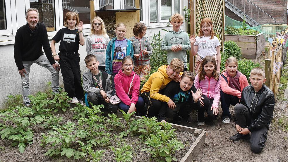 Sozialarbeiter und Gartenbetreuer Folkert Kruse (links) freut sich mit den Dritt- und Viertklässlern über die sprießenden Kartoffelpflanzen im Schulgarten.  © Kuper