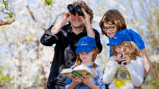 Weniger Schwalben und Mauersegler