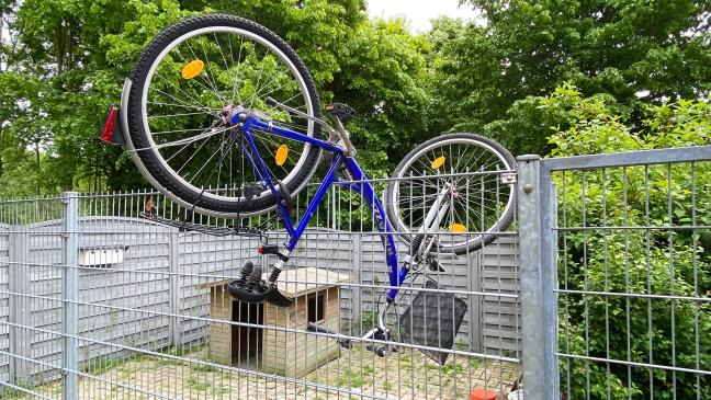 Klettermaxe auf Abwegen