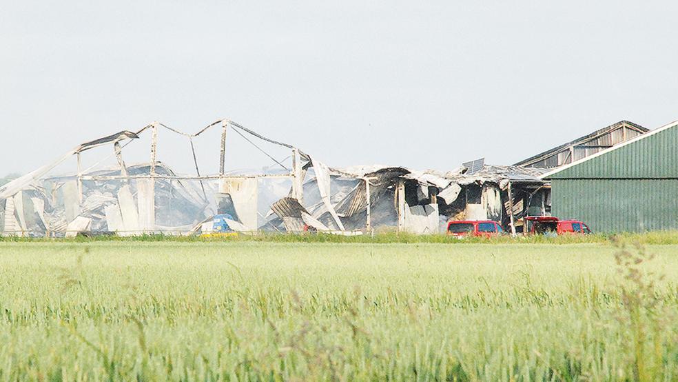 In einer Schweinefarm in Beerta brach ein Feuer aus und zerstörte zwei Ställe mit 300 bis 400 Ferkel und Säuen.  © Foto: Kuper