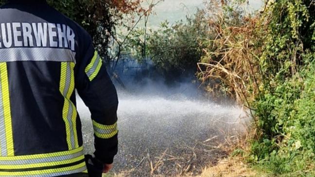 Feuerwehr löscht Wallhecken-Brand