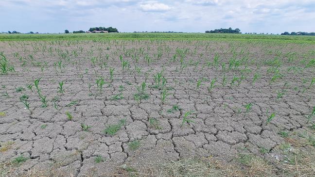 Seit 30 Tagen kein Tropfen