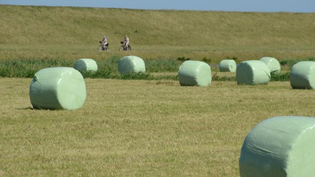 Stempeljagd für »Routen-Kenner«