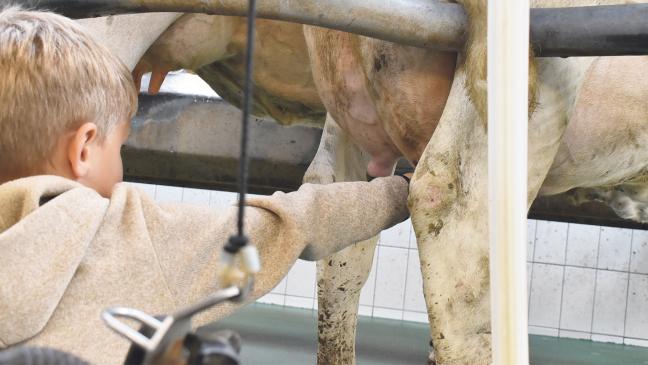 Landwirtschaft zum Anfassen