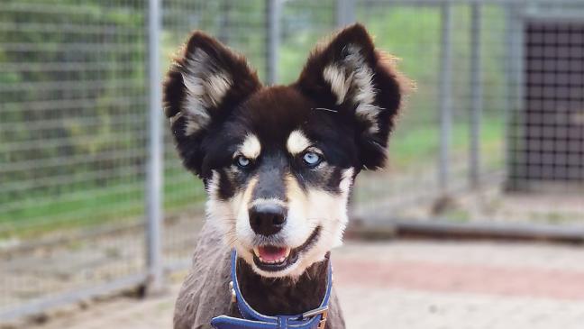 »Ronja« ist ein kleiner Wirbelwind