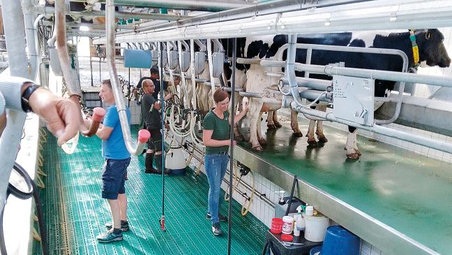 Männerkreis besucht Biobauernhof und Tischlerei