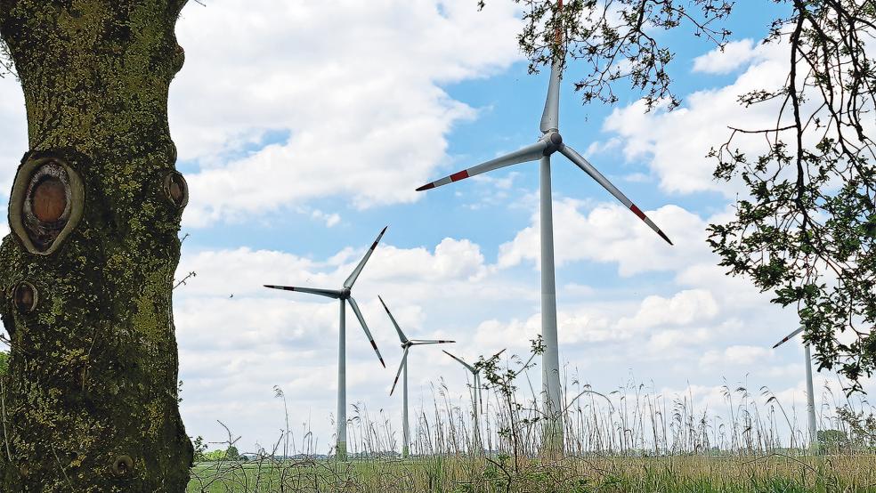 Von den Betreibern des Windparks in Holtgaste könnte die Gemeinde Jemgum künftig Geld bekommen.  © Foto: Szyszka/Archiv