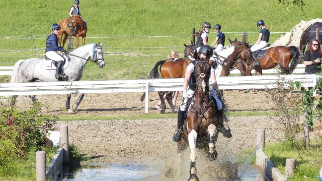 Bingum wird Reitsport-Mekka