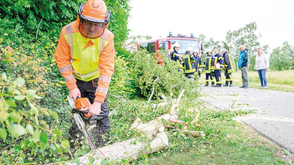 In Stapelmoor beseitigte die Feuerwehr einen umgestürzten Baum.  © Foto: Bruins