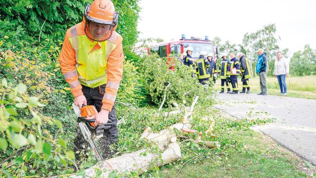 Fußgängerin von Baum erschlagen