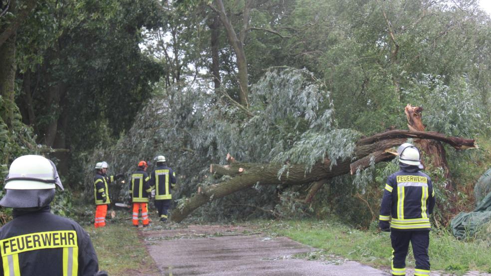 Auch am Sandweg in Möhlenwarf gab es für die Feuerwehrleute viel zu tun. © Rand (Feuerwehr)
