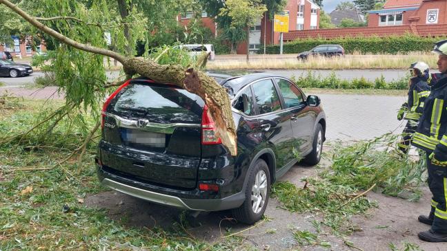 Mehr als 300 Sturm-Einsätze im Kreis Leer