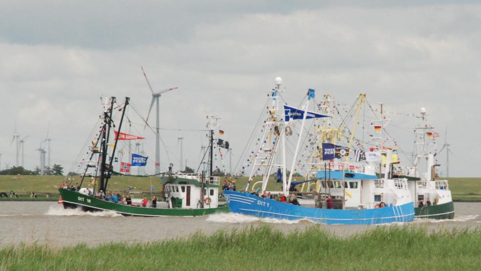 Mit den Ditzumer Fischkuttern auf die Ems - am morgigen Sonnabend ab 15 Uhr bieten die Kapitäne eine Mitfahrgelegenheit an. © Hanken