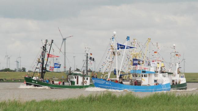 Hafenfest in Ditzum mit Kutterkorso und viel Musik