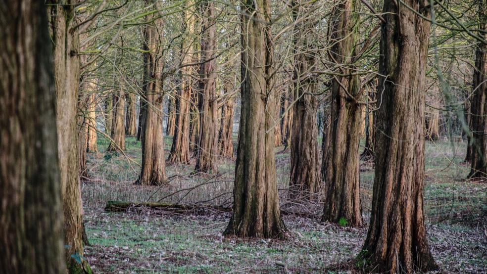 Der Hessepark ist seit mehr als einem Jahr für Besucher geschlossen.  © Hanken/Archiv