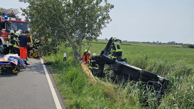 Wohnmobil kracht frontal gegen Baum